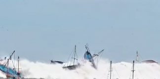 Foto: Perú en Alerta /cortesía