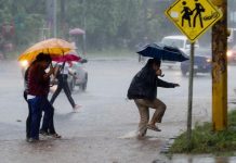 Sinapred informa sobre las incidencias provocadas por las intensas lluvias en Managua Foto: ¿Es normal que llueva en los últimos días del año? esto dicen los expertos / Cortesía