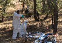 31 víctimas de la violencia halladas en fosas clandestinas en México Foto: 31 víctimas de la violencia halladas en fosas clandestinas en México / Cortesía
