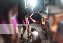 Impactante: Desgraciada golpea salvajemente a su hija en Waspam Foto: Impactante video muestra a una desgraciada golpeando salvajemente a su hija en Waspam/TN8