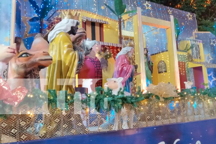 Foto: ¡La Avenida Bolívar brilla con más de 50 nacimientos! Familias de todo el país llegan a disfrutar de esta tradición navideña/TN8 Foto: ¡La Avenida Bolívar brilla con más de 50 nacimientos! Familias de todo el país llegan a disfrutar de esta tradición navideña/TN8