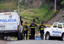 Matanza en Costa Rica: Se registran más de 800 homicidios en 2024 Foto: Matanza en Costa Rica /cortesía