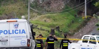 Foto: Matanza en Costa Rica /cortesía