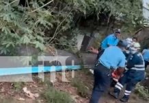 Escalofriante crimen en El Rama: Cobarde mata a su pareja y luego intenta suicidarse Foto: Escalofriante crimen en El Rama: Cobarde mata a su pareja y luego intenta suicidarse/TN8