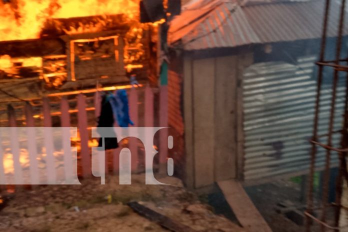 4 Foto: Tragedia en Bonanza: familia pierde su hogar en devastador incendio / TN8