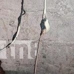 Incendio controlado en el barrio Carlos Núñez, Managua Foto: Incendio controlado en el barrio Carlos Núñez, Managua/ TN8