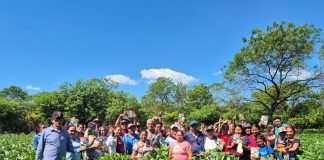 Foto: INTA presenta la nueva variedad de soya Chinandega