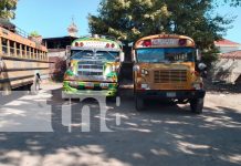 Granada espera con emoción los nuevos autobuses chinos para mejorar el transporte Foto: Granada espera con emoción los nuevos autobuses chinos para mejorar el transporte/TN8