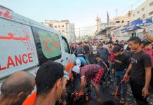 OMS exige a Israel el cese de los ataques a hospitales en Gaza Foto: Jefe de la OMS pide a Israel que detenga los ataques /Cortesía