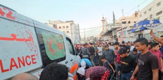 Foto: Jefe de la OMS pide a Israel que detenga los ataques /Cortesía