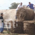 Rastra cargada de alimento para ganado se voltea en Estelí
