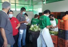 IPSA asegura alimentos con inspecciones en Tomatoya Chagüite Grande