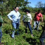 COMASA establece un vivero forestal con 35,000 plantas para 2024 en Nicaragua