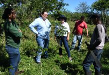 COMASA establece un vivero forestal con 35,000 plantas para 2024 en Nicaragua