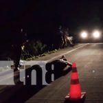 Joven motociclista muere tras impactar contra caballo en Chinandega Foto: Mortal accidente en Chinandega / TN8