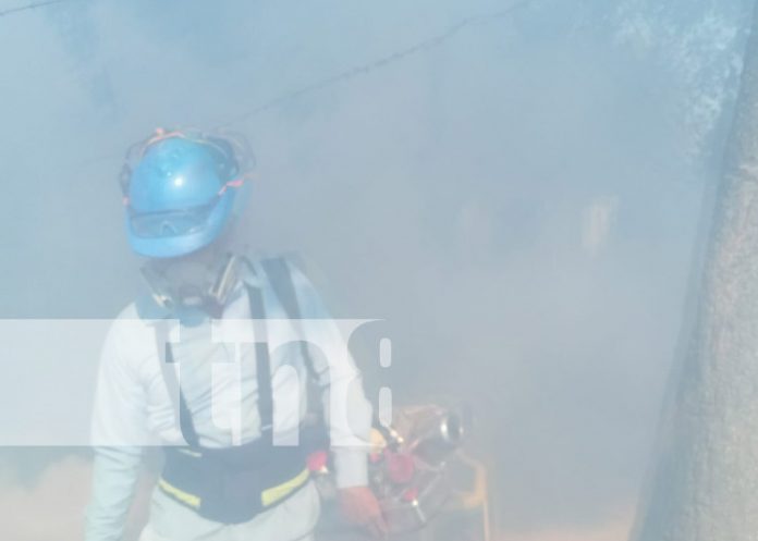 Foto: Fumigación por toda Managua / TN8 Foto: Fumigación por toda Managua / TN8