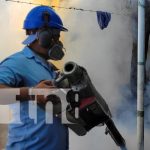 Brigadistas del MINSA intensifican la lucha contra el mosquito en Managua Foto: Fumigación del MINSA en barrios de Managua / TN8