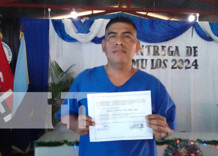 Foto: Reos con estímulos y reconocimientos en Granada / TN8 Foto: Reos con estímulos y reconocimientos en Granada / TN8