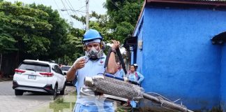 Foto: Fumigación y abatización en Managua / TN8