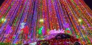 Foto: El carrito navideño de Nicaragua / TN8