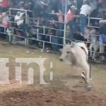Muere horas después de ser embestido por un furioso toro en Rivas Foto: Rivas de luto: Toro enfurecido acaba con la vida de un hombre /TN8