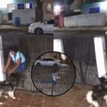 ¡Andaba en las llagas!  Mujer roba un perrito para luego venderlo por Facebook Foto: Robó un perro para venderlo por Facebook /Cortesía