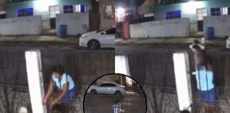 Foto: Robó un perro para venderlo por Facebook /Cortesía