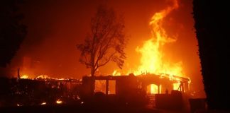 Foto: Incendio en Los Ángeles obliga a 30.000 personas a evacuar