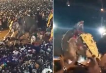 Pánico en India: Elefante embiste a una multitud durante una festividad (VIDEO) Foto: Elefante embiste a una multitud durante una festividad en la India /Cortesía