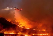 Aumenta a 10 el número de muertes en Los Ángeles tras incendios Foto: Incendios en Los Ángeles /cortesía