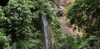 Foto: conservación del agua en la Reserva Chocoyero/Cortesía