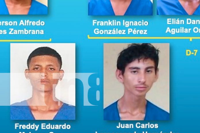 Foto: La Policía Nacional detuvo a 20 peligrosos delincuentes por homicidios, tráfico de drogas y robos. ¡La seguridad ciudadana sigue avanzando! /TN8