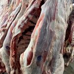 Nicaragua lidera la región en producción y exportación de carne bovina