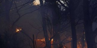 Foto: Emergencia en América del Sur /cortesía