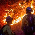 Bomberos de Los Ángeles enfrentan nuevas ráfagas de viento Foto:Bomberos de Los Ángeles enfrentan nuevas ráfagas de viento