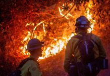 Bomberos de Los Ángeles enfrentan nuevas ráfagas de viento Foto:Bomberos de Los Ángeles enfrentan nuevas ráfagas de viento