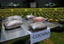Histórico operativo en Argentina: Incautan cerca de 4 toneladas de droga Foto: Incautan casi 4 toneladas de droga en Argentina /Cortesía