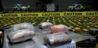 Foto: Incautan casi 4 toneladas de droga en Argentina /Cortesía