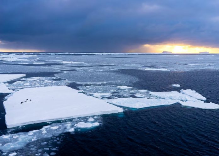 Foto: Deshielo en la Antártida /cortesía Foto: Deshielo en la Antártida /cortesía