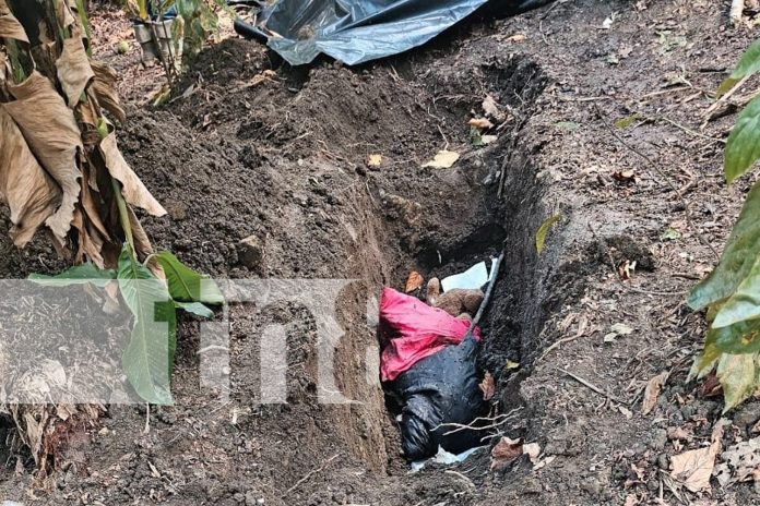 Foto: ¡Escalofriante! Madre planea y ejecuta el asesinato de su exesposo y su hijo en Paiwas/TN8