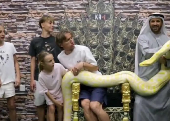 Foto: El miedo oculto de Luka Modrić /cortesía Foto: El miedo oculto de Luka Modrić /cortesía