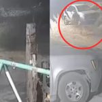 Redes estallan con video de un perro que «se convierte» en hombre Foto: Perro que "se convierte" en hombre /cortesía