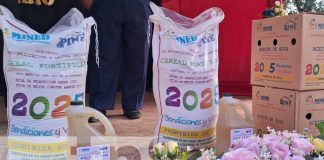 Foto: Merienda escolar 2025 llega a Carazo /TN8