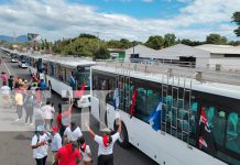 León celebra la llegada de nuevos autobuses que mejorarán la movilidad Foto: Nuevas unidades de autobuses provenientes de la República Popular China/Cortesía