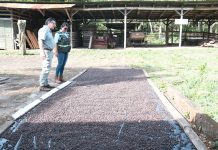 Foto: MARENA sigue apostando por la conservación/Cortesía