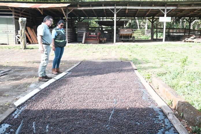 Foto: MARENA sigue apostando por la conservación/Cortesía Foto: MARENA sigue apostando por la conservación/Cortesía