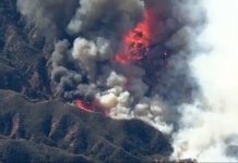 Apocalíptico: Nuevo incendio en Los Ángeles avanza a toda velocidad Foto: Nuevo incendio en Los Ángeles /Cortesía