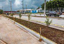 ¡Brutales! Estos son los proyectos más destacados de Managua para 2025