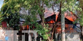 Foto: Incendio en el departamento de Managua/TN8
