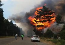 Devastador incendio en Argentina consume más de 3.000 hectáreas de bosque Foto: Incendio forestal en La Patagonia, Argentina /Cortesía